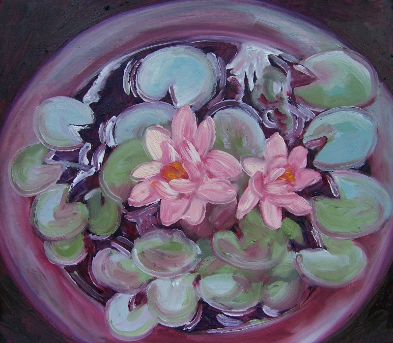 Water lily Oil